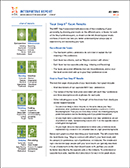 MBTI Interpretive Report